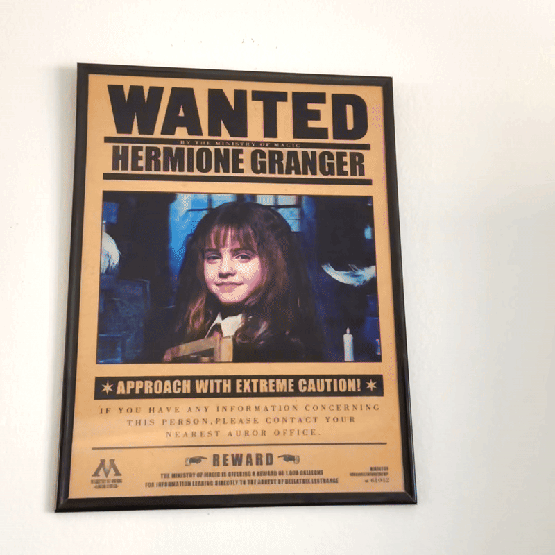 3D Lenticular Poster HP